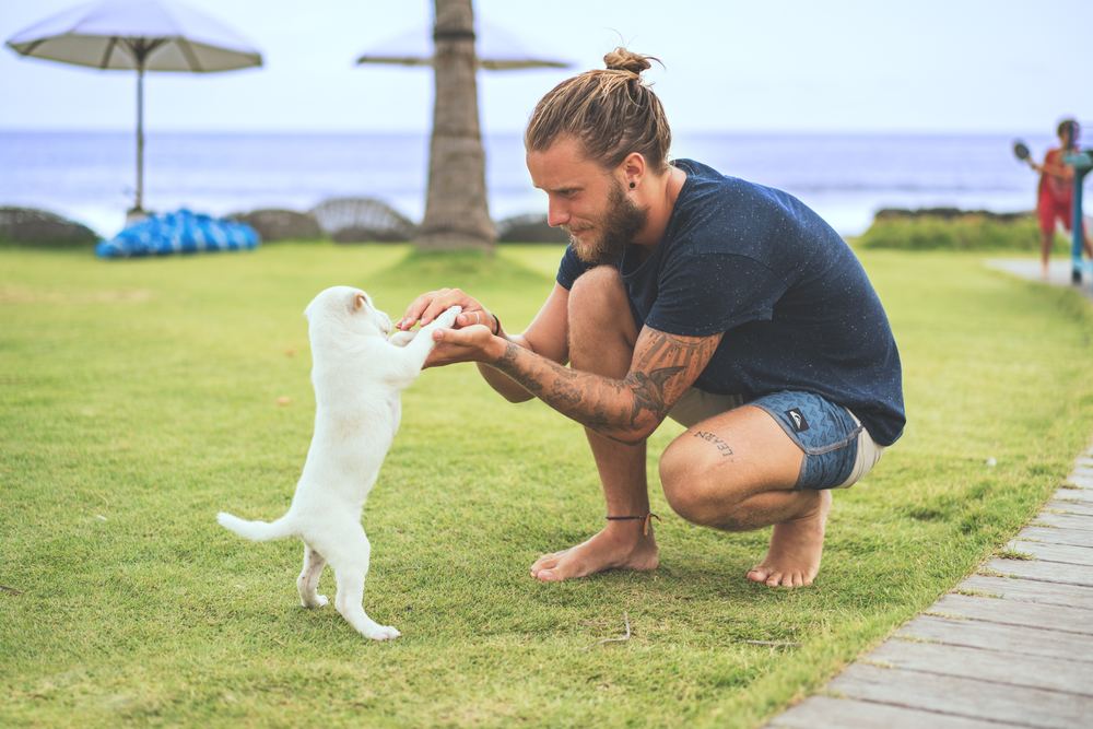 Mann med manbun leker med en katt